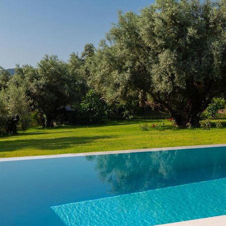 Averto Villas With Private Pool Nydri  Exterior foto